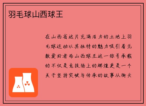 羽毛球山西球王